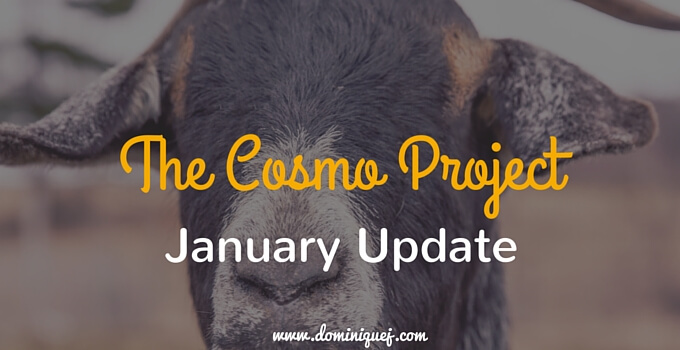 The Cosmo Project Update – January 2016 (+Income Report!)